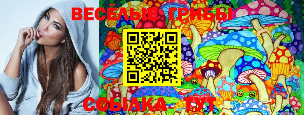 Галлюциногенные грибы GOLDEN TEACHER  Вход с VPN  Гагарин  Галлюциногенные грибы Cubensis 
